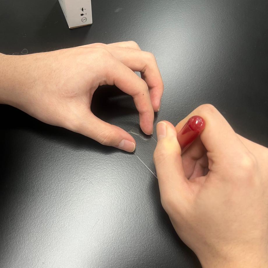 Wright Stain & 초생체 염색