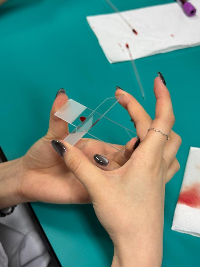 혈액도말표본 제작 & 회식