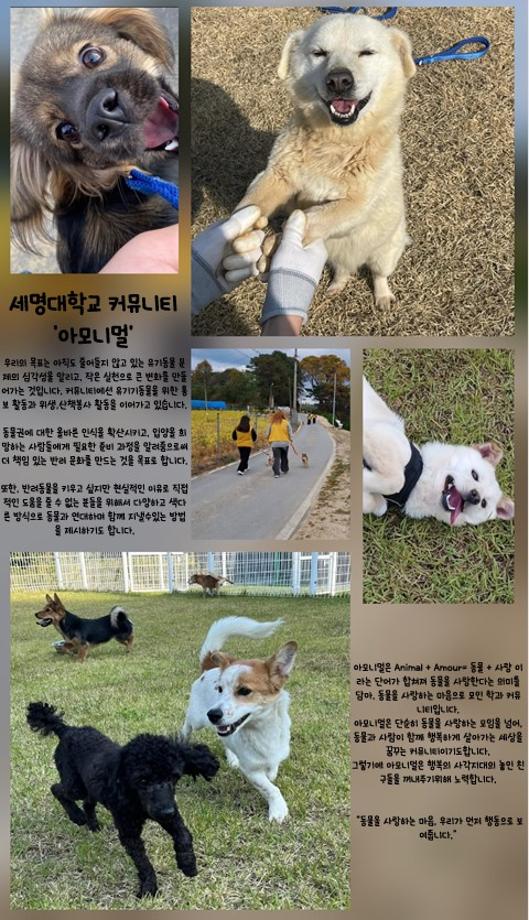 동물보호봉사동아리  