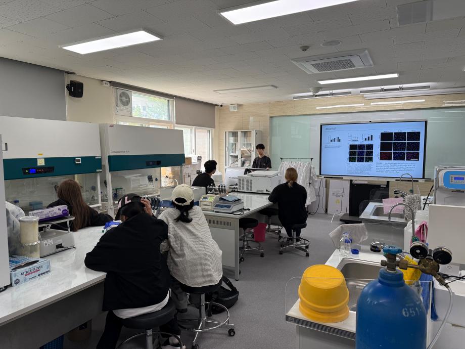 2025학년도 아쿠아디테 동아리 활동