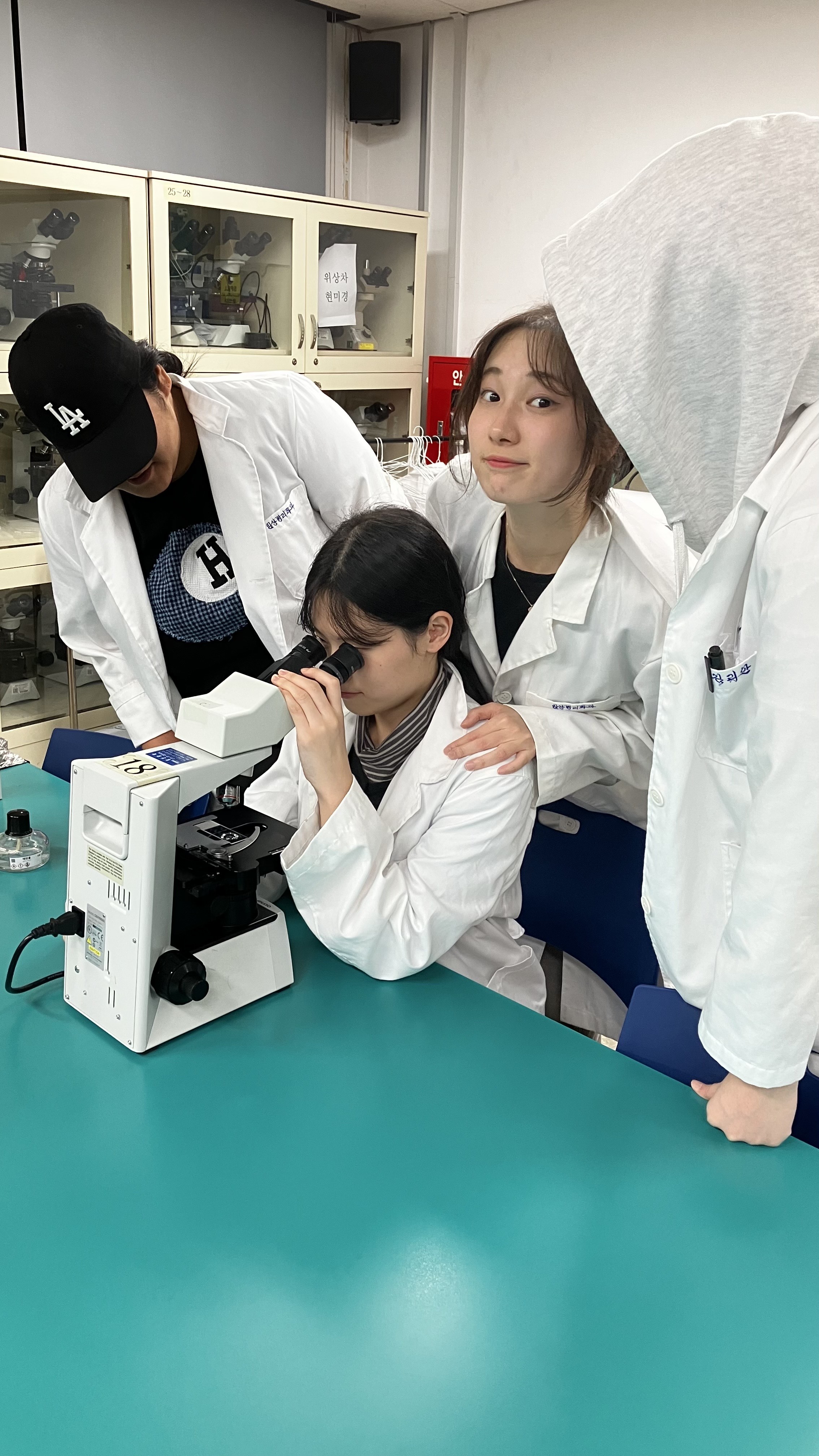 Hanging drop wet mount 실험