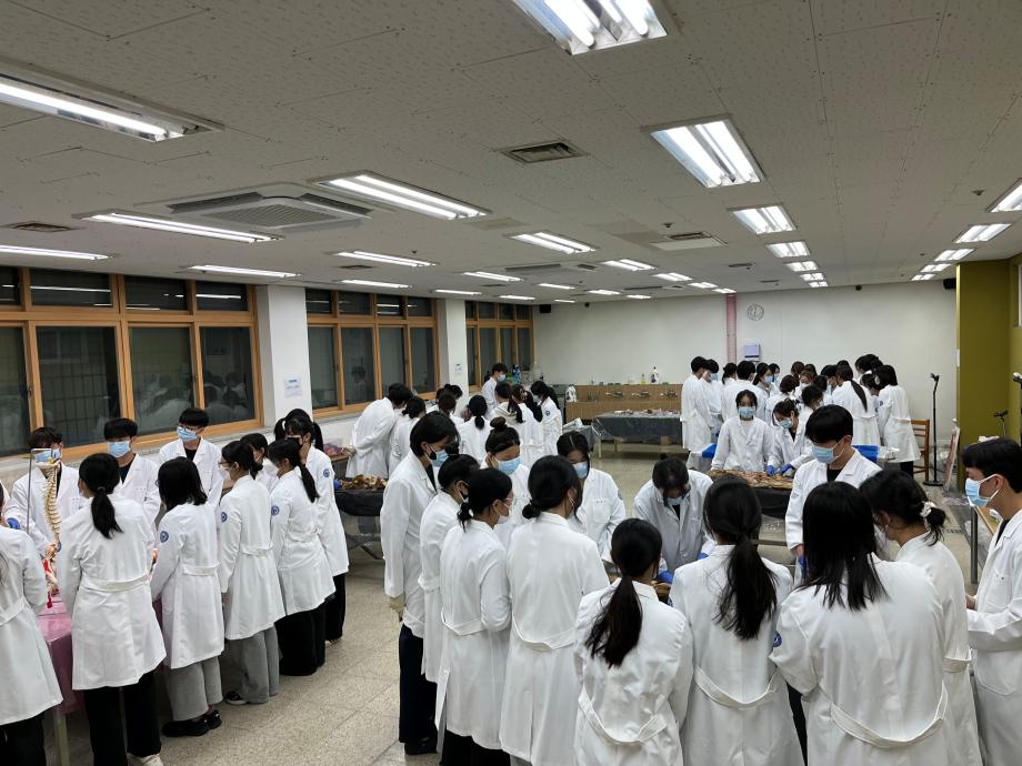 2025학년도 기초실습역량향상프로그램 (카데바 실습)