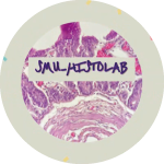 HISTORYLAB 이미지