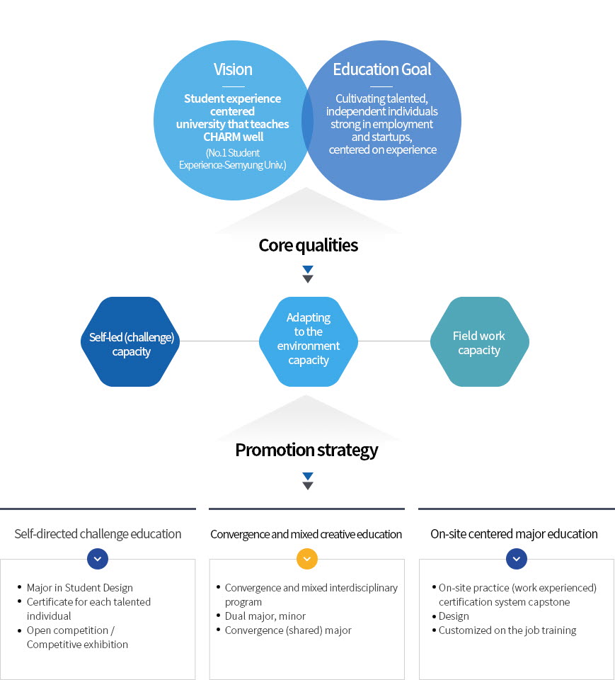 비전:CHARM잘가르치는학생경험중심대학,교육목표:취.창업에 강한경험중심의 자립하는인재양성, 핵심역량:자기주도역량,환경적응역량,형장실무역량, 추진전략:1)자기주도도전교육-학생설계전공,1인1기자격증,공모전/경진대회
            2)융.복합 창의교육-융.복합 연계전공, 복수전공,부전공, 융합전공 3)현장중심전공교육-현장실습인증제캡스톤, 디자인, 주문식실무형교육