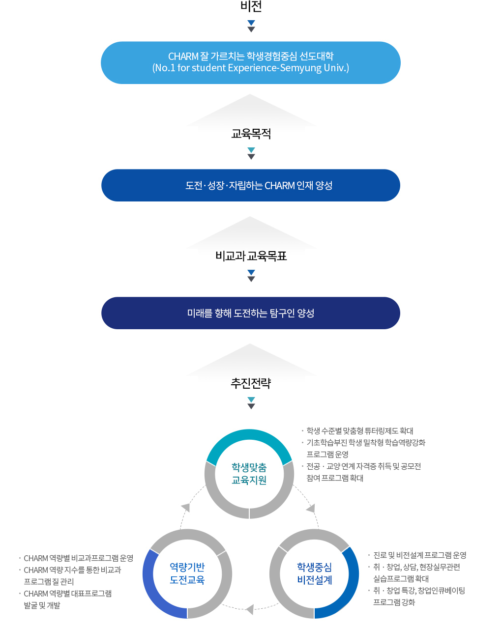 비전:CHARM잘가르치는학생경험중심대학, 교육목적:도전.성장.자립하는 CHARM인재 양성, 비교과교육목표:미래를 향해 도전하는 탐구인 양성, 추진전략:1.학생맞춤교육지원-학생수준별 맞춤형 튜터링제도 확대, 기초학습부진학생 밀착형 학습역량강화프로그램 운영, 전공.교양 연계 자격증 취득 및 공모전 참여 프로그램 확대, 2.역량기반 도전교육-CHARM역량별 비교과프로그램운영, CHARM역량지수를 통한 비교가 프로그램 질 관리, CHARM역량별 대표프로그램발굴및개발, 3.학생중심 비전설계-진로 및 비전설계프로그램운영, 취.창업, 상담, 현장실무관련 실습프로그램확대, 취.창업특강, 창업인큐베이팅프로그램강화